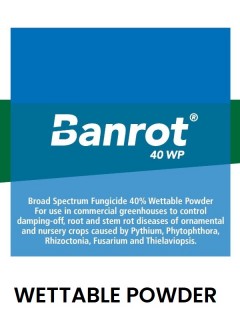 Banrot Root Rot Prevent & Cure