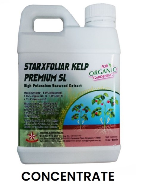 Kelp Growth Stimulant Concentrate