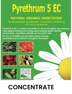 Pyrethrum Natural Organic Insecticide