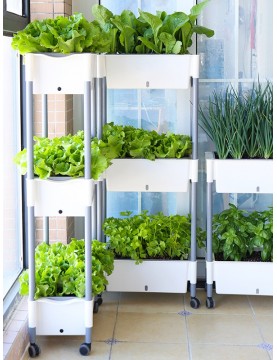 3-Tier Movable Self-Watering Vegetable Planter