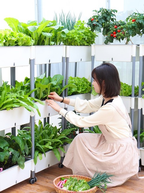3-Tier Movable Self-Watering Vegetable Planter