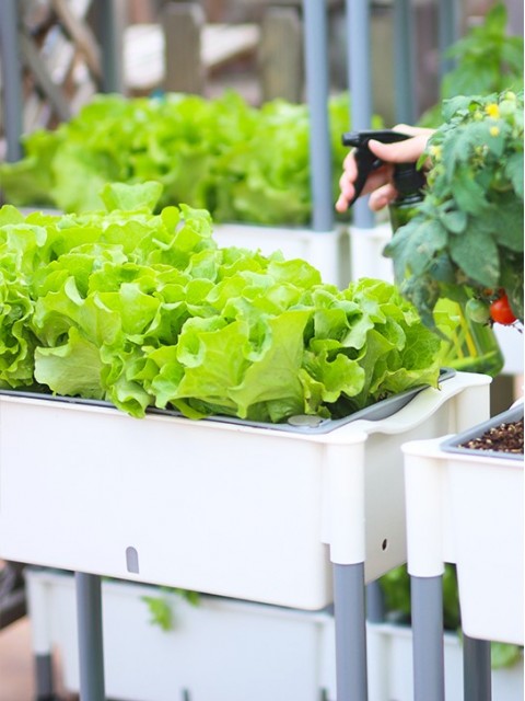 3-Tier Movable Self-Watering Vegetable Planter