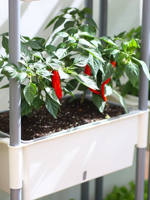 3-Tier Movable Self-Watering Vegetable Planter