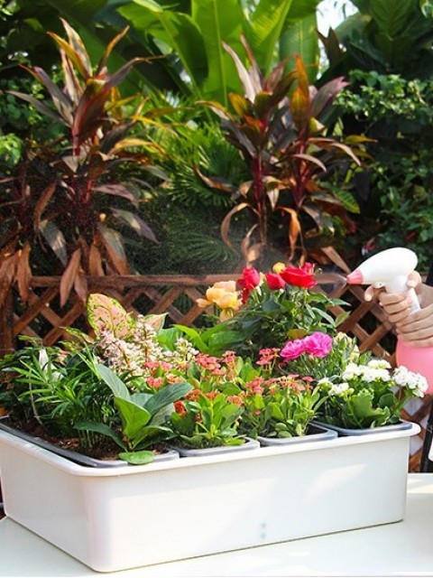 Self-Watering Combination Harvest Planter
