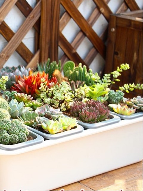 Self-Watering Combination Harvest Planter