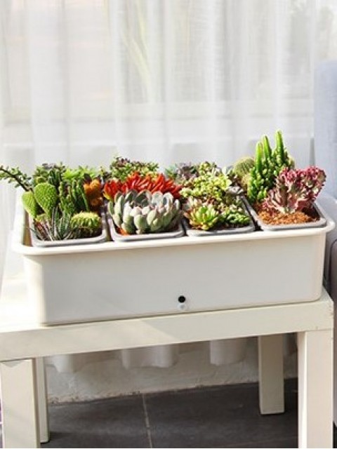 Self-Watering Combination Harvest Planter