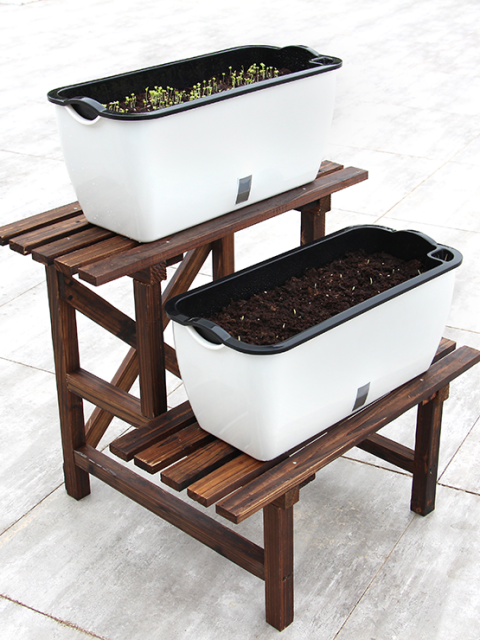 Self-Watering Curvy Vegetable Planter