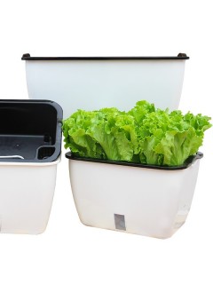 Self-Watering Curvy Vegetable Planter