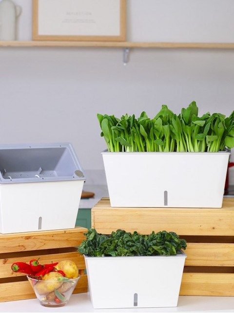 Self-Watering Boxy Vegetable Planter