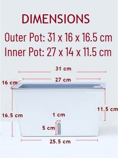 Self-Watering Boxy Vegetable Planter