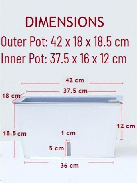 Self-Watering Boxy Vegetable Planter