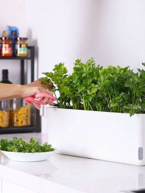 Self-Watering Vegetable Slender Planter