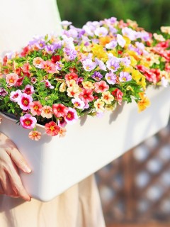 Self-Watering Vegetable Slender Planter