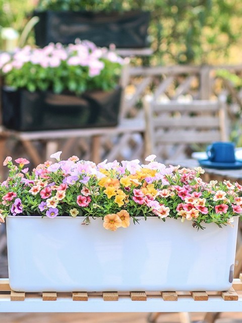 Self-Watering Vegetable Slender Planter