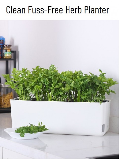 Self-Watering Vegetable Slender Planter