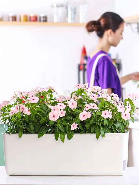 Self-Watering Vegetable Slender Planter