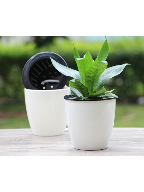 Classic White Round Pot