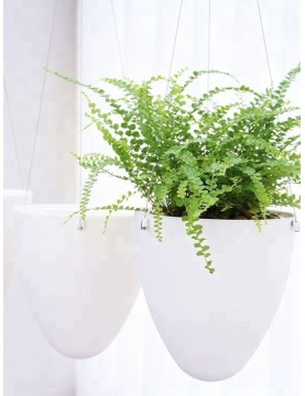 Elegant Hanging Wick-Watering Pot