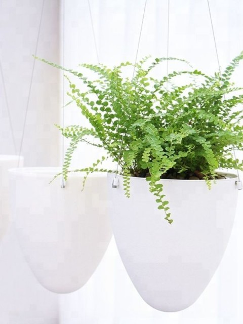 Elegant Hanging Wick-Watering Pot