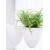 Elegant White Hanging Pot   S$21.30 