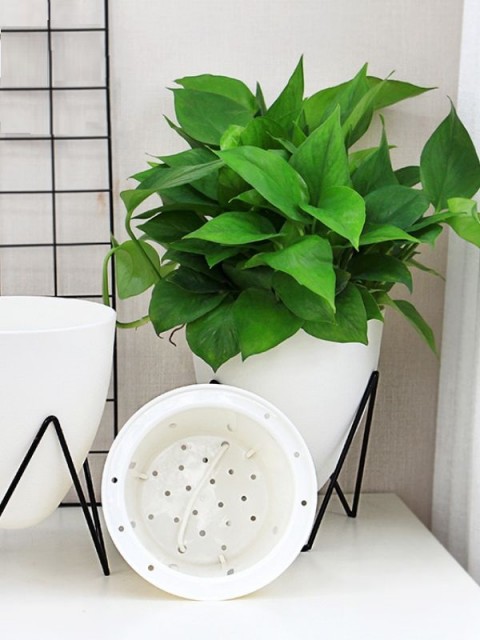 Elegant Stand & Wick-Watering Pot