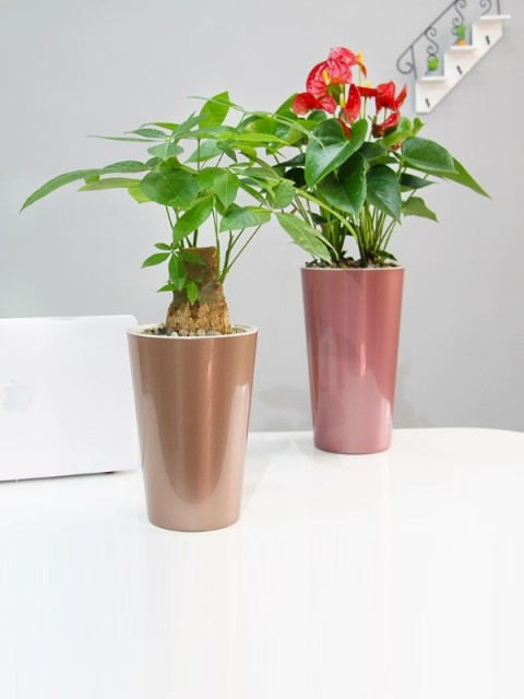 Classy Metallic Round Pot