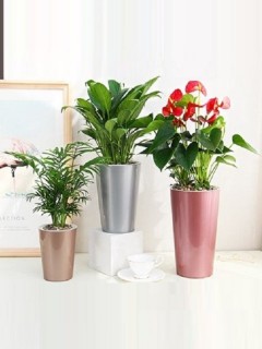 Classy Metallic Round Pot
