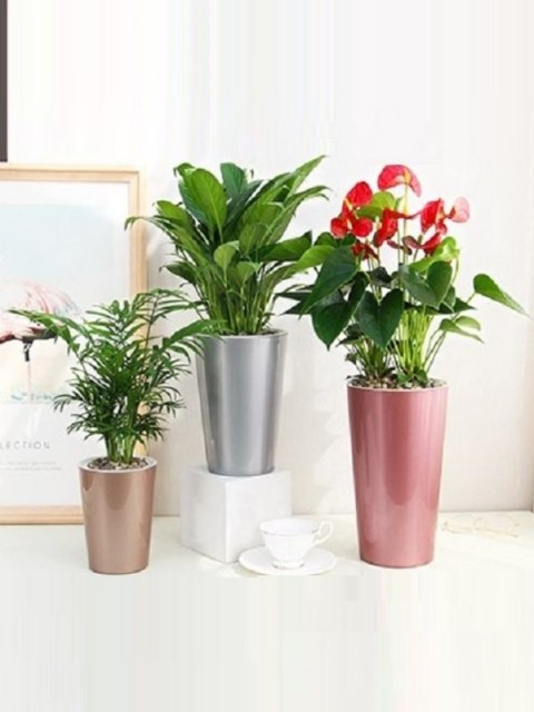 Classy Metallic Round Pot