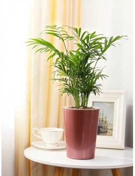 Classy Metallic Round Pot