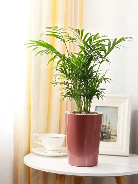Classy Metallic Round Pot