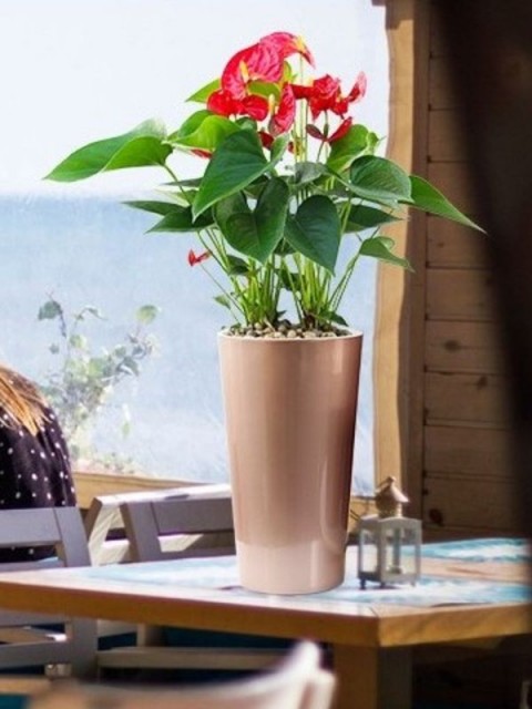 Classy Metallic Round Pot