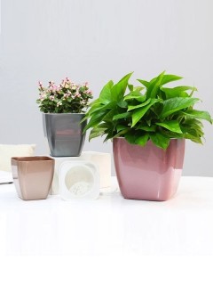 Classy Metallic Square Pot