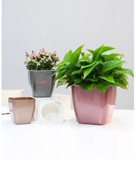 Classy Metallic Square Pot