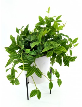 Cylindrical Pot on Wrought Iron Stand