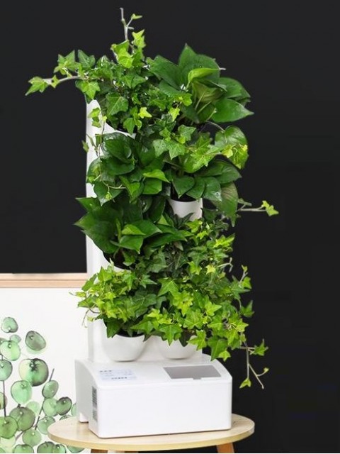 8-Pot Mini Green Wall