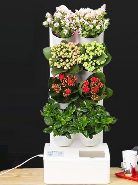 8-Pot Mini Green Wall