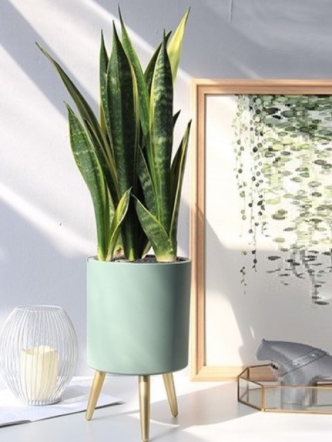 Verdigris Cylindrical 19cm Smart Pot
