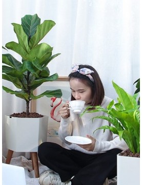 Nordic Hexagon 23cm Smart Pot
