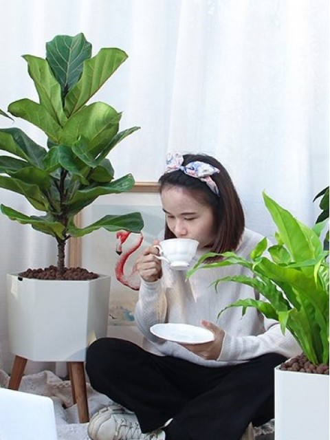 Nordic Hexagon 23cm Smart Pot