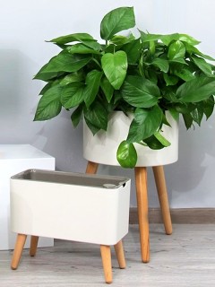 Nordic Round 33cm Smart Pot