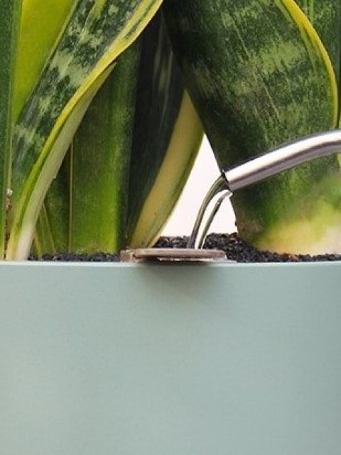 Verdigris Rectangle 35cm Smart Pot