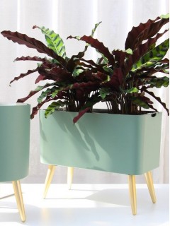 Verdigris Rectangle 35cm Smart Pot