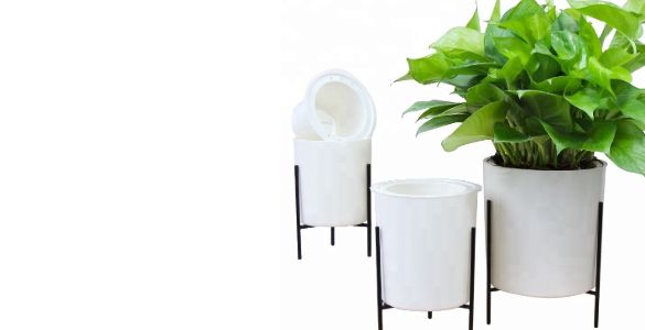 cms-banner2
